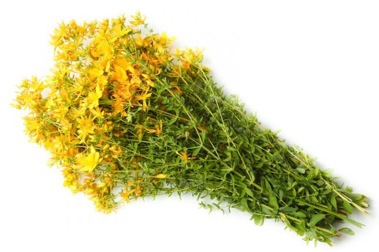 St. John's Wort artrosiaren tratamenduan erabiltzen da